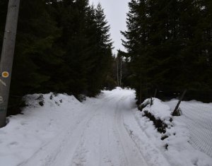 Maisons de vacances à vendre dans Baisoara