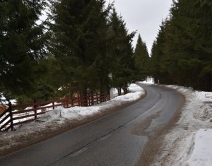 Maisons de vacances à vendre dans Baisoara