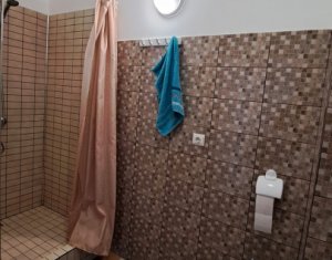 Appartement 2 chambres à louer dans Floresti