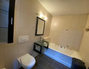 Appartement 2 chambres à louer dans Cluj-napoca, zone Plopilor