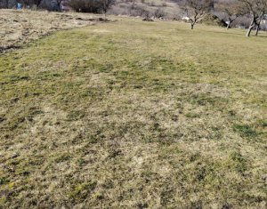 , 2087m2 dans Cluj-napoca