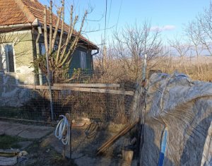 , 1500m2 dans Boju
