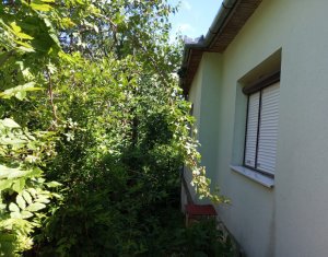 Maison 3 chambres à vendre dans Dumbrava