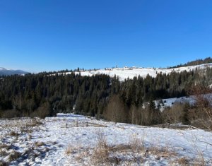 , 17070m2 on Belis