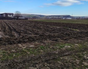 , 8500m2 dans Jucu