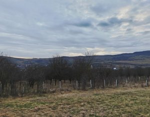 , 1000m2 dans Macicasu