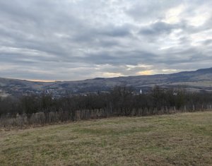 Terrain à vendre dans Macicasu