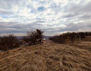 , 770m2 dans Deusu