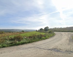 , 7975m2 dans Cluj-napoca, zone Sopor