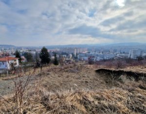Teren intravilan in Grigorescu – panorama, liniste si aer curat