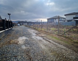 Land for sale in Floresti