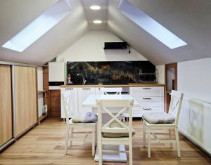 Casa cu 2 apartamente langa UMF si USAMV – proprietate ideala pentru investitori