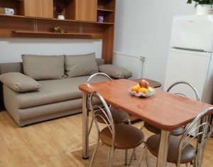 Appartement 2 chambres à louer dans Cluj-napoca, zone Gruia