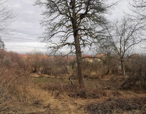, 1547m2 dans Gheorghieni