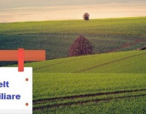 Terrain à vendre dans Chinteni