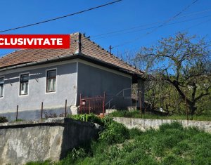 Maison 3 chambres à vendre dans Cojocna