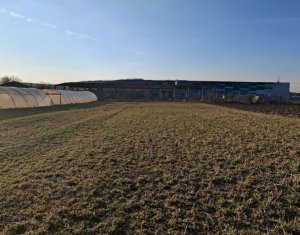 , 3500m2 dans Apahida