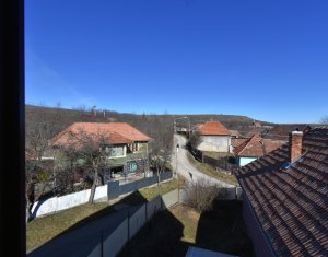 Maison 5 chambres à vendre dans Ardeova, zone Centru