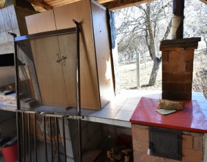 Maison 5 chambres à vendre dans Ardeova, zone Centru