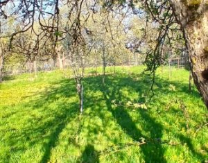 Maison 5 chambres à vendre dans Ardeova, zone Centru