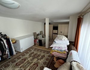Maison 5 chambres à vendre dans Ardeova, zone Centru