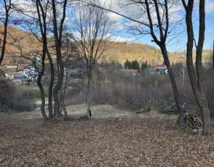 , 3540m2 in Feleacu