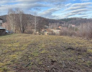 Teren spectaculos, intravilan,  Feleacu, zona linistita, padure + parau