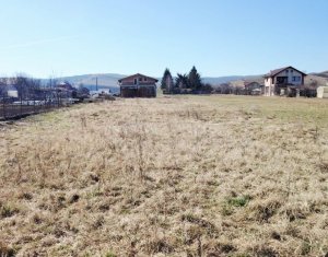 Casa la tara cu 1843 mp teren – liniste si natura langa Cluj