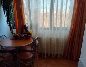 Appartement 1 chambres à louer dans Cluj-napoca, zone Gheorgheni