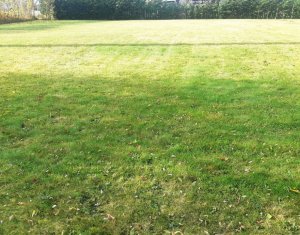 , 700m2 dans Salicea