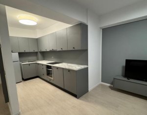 Appartement 1 chambres à louer dans Cluj-napoca, zone Manastur