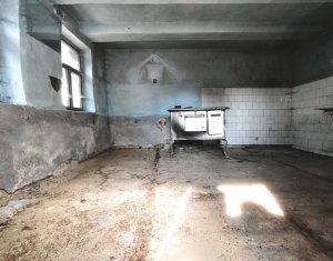 Terrain à vendre dans Micesti, zone Centru