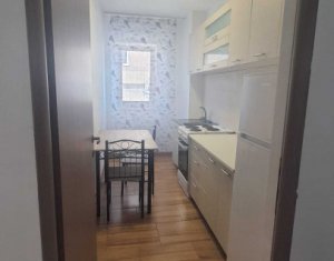 Appartement 2 chambres à louer dans Cluj-napoca, zone Buna Ziua