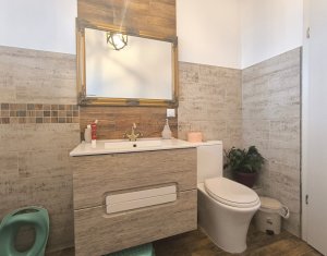 Maison 4 chambres à vendre dans Cluj-napoca, zone Iris