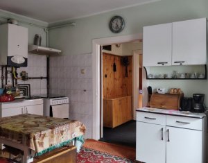 Maison 2 chambres à vendre dans Cluj-napoca, zone Dambul Rotund