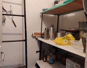 Maison 2 chambres à vendre dans Cluj-napoca, zone Dambul Rotund