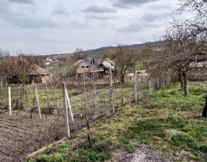 Maison 3 chambres à vendre dans Moldovenesti