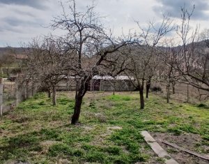 Maison 3 chambres à vendre dans Moldovenesti