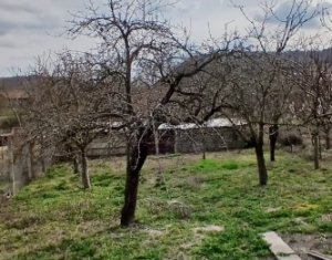 Maison 3 chambres à vendre dans Moldovenesti