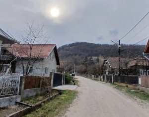 Maison 3 chambres à vendre dans Moldovenesti