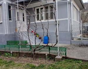 Maison 3 chambres à vendre dans Moldovenesti