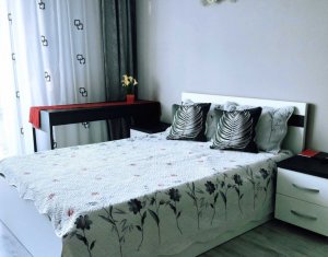 Appartement 1 chambres à louer dans Cluj-napoca, zone Intre Lacuri