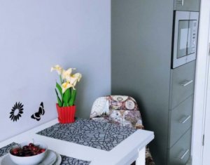 Appartement 1 chambres à louer dans Cluj-napoca, zone Intre Lacuri