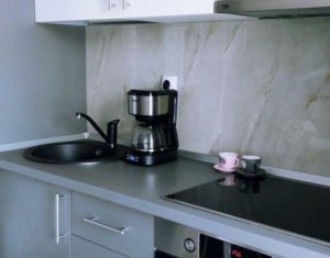Appartement 1 chambres à louer dans Cluj-napoca, zone Intre Lacuri