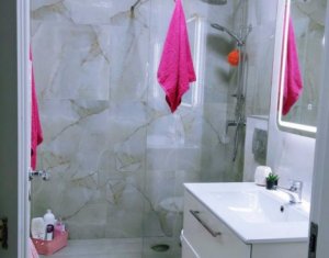 Appartement 1 chambres à louer dans Cluj-napoca, zone Intre Lacuri