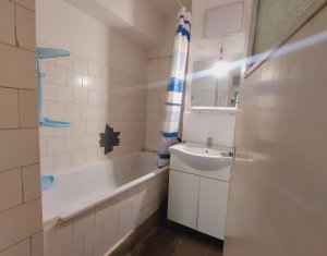 Appartement 2 chambres à louer dans Cluj-napoca, zone Marasti