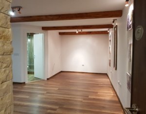 Appartement 1 chambres à louer dans Cluj-napoca