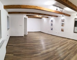 Appartement 1 chambres à louer dans Cluj-napoca