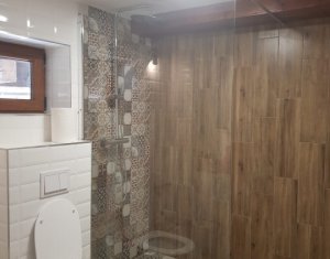 Appartement 1 chambres à louer dans Cluj-napoca