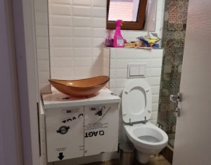 Appartement 1 chambres à louer dans Cluj-napoca